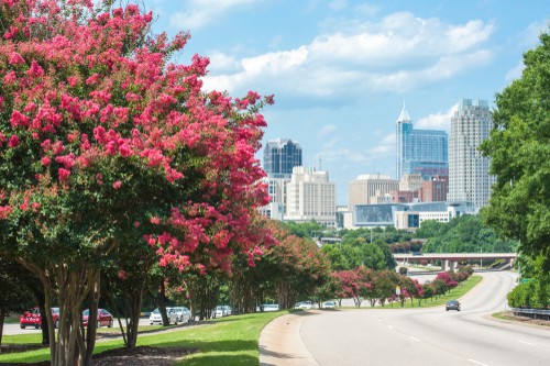North Carolina skyline